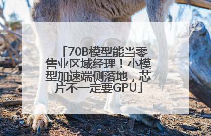 70B模型能当零售业区域经理！小模型加速端侧落地，芯片不一定要GPU