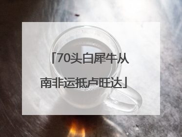 70头白犀牛从南非运抵卢旺达