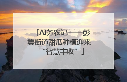 AI务农记——彭集街道甜瓜种植迎来“智慧丰收”