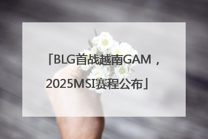 BLG首战越南GAM，2025MSI赛程公布