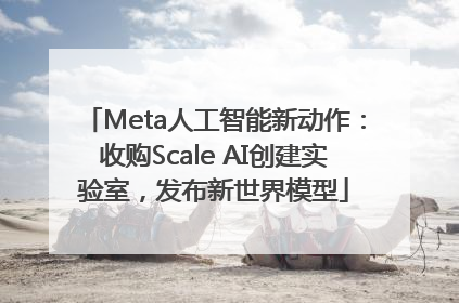 Meta人工智能新动作：收购Scale AI创建实验室，发布新世界模型
